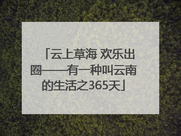 云上草海 欢乐出圈——有一种叫云南的生活之365天